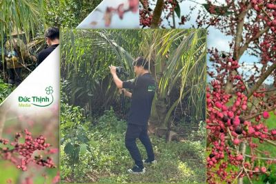Khởi đầu năm mới – Sẵn sàng cho những hành trình sáng tạo