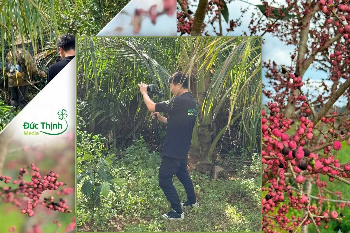 Khởi đầu năm mới – Sẵn sàng cho những hành trình sáng tạo